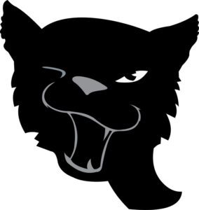Logo Chat Noir intemporel