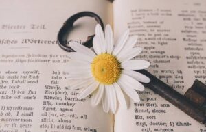 une clé et une fleur sur un livre ouvert